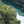 Aerial view of a turquoise river surrounded by lush green trees and rocky cliffs