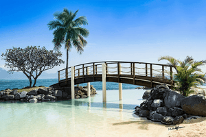 Scenic wooden footbridge over turquoise water with palm trees and rocks on a tropical beach.