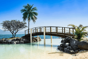 Wooden bridge over tropical lagoon with palm tree, blue sky, and clear water beach scene