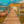 Wooden dock leading to a thatched-roof houseboat, flanked by colorful boats on clear water
