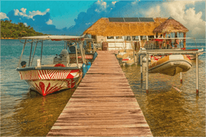 Wooden dock leading to a thatched-roof houseboat, flanked by colorful boats on clear water