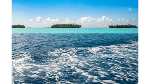 Tropical island with palm trees, turquoise water and blue ocean under a clear sky