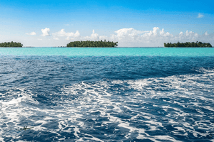 Tropical islands with palm trees surrounded by turquoise and deep blue ocean waves under a clear sky