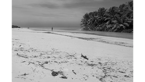 Black and white photo of a deserted tropical beach with driftwood, palm trees, and a lone figure by the shore.