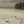 Vintage sepia photo of a deserted tropical beach with scattered driftwood and palm trees