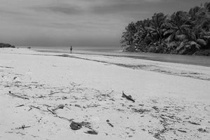 Black and white photo of a serene beach with palm trees and a lone person walking