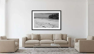 Framed black and white beach photograph with palm trees in modern living room decor