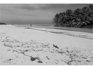 Black and white photo of a lone person walking on a deserted tropical beach with palm trees.