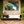 Framed river landscape photo with green trees displayed in modern living room decor