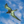 bird with outstretched wings flying against a blue sky with clouds, close-up view