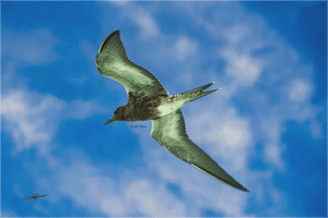 bird with outstretched wings flying against a blue sky with clouds, close-up view