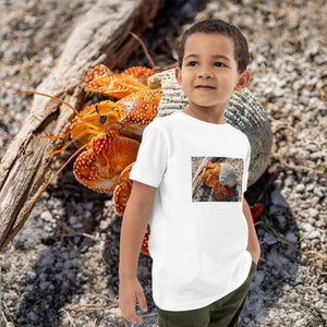 Child wearing organic cotton t-shirt with crab print, standing outdoors on rocky ground.