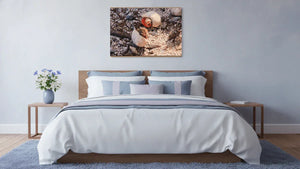 Modern bedroom with wall art featuring two seashells on rocky ground, bed with pastel pillows