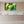 Modern kitchen with marble backsplash and abstract green blue wall art above sink