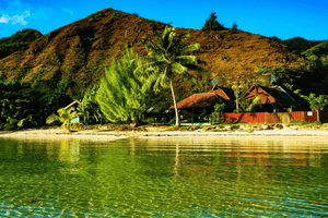 Tropical beach with clear water, palm trees, mountain, and wooden houses on the shore