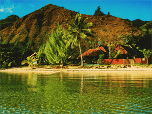 Tropical beachfront houses with palm trees and clear water, mountain in background
