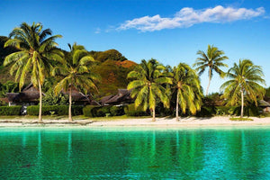 Tropical beach with palm trees, clear turquoise water, and bungalows under a blue sky