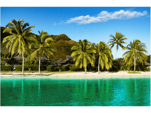 Tropical beach with palm trees, turquoise water, and bungalows under clear blue sky